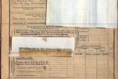 Vocelle page3